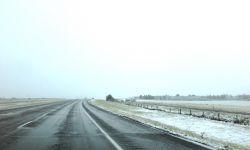 IMG_0005