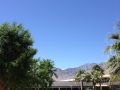 Palm Springs 04