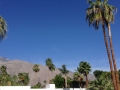 Palm Springs 17