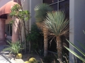 Palm Springs 24