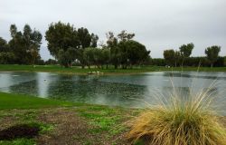 Sunnylands 2014 05.jpg