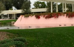 Sunnylands 2014 19.jpg